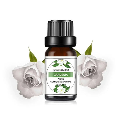 10ml Fruit-Flavored Essential Oil – Mango & Pineapple
